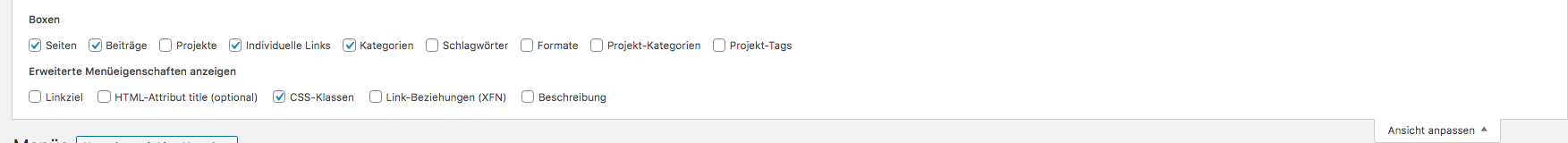 Ansicht anpassen und CSS Klassen aktivieren für WordPress Menüs