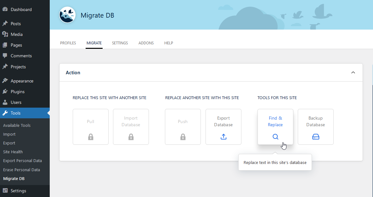 Wordpress Plugin Migrate DB: Find & Replace